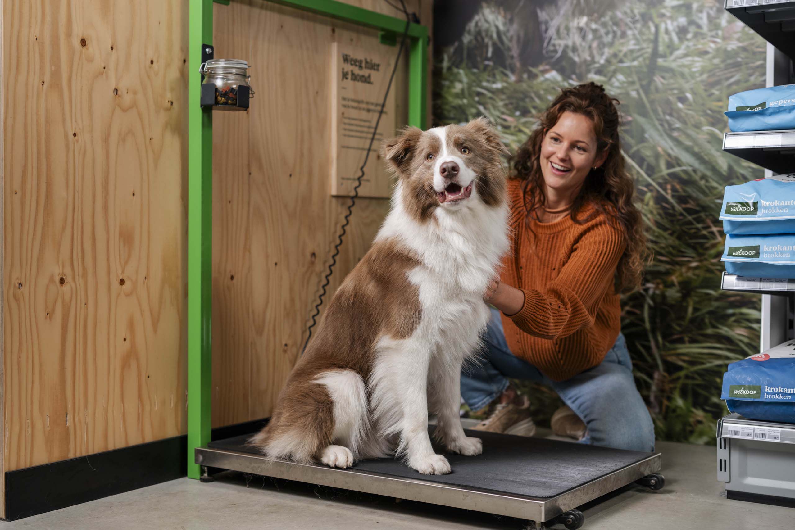 Wegen hond - Welkoop